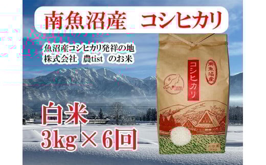 
            【令和7年産】【定期便 南魚沼産】コシヒカリ 白米3kg×6回【2025年9月中旬より順次発送予定】
          