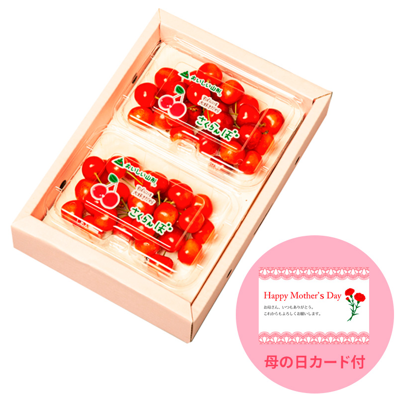 一足先にお届け！【母の日】さくらんぼ佐藤錦360gLサイズ以