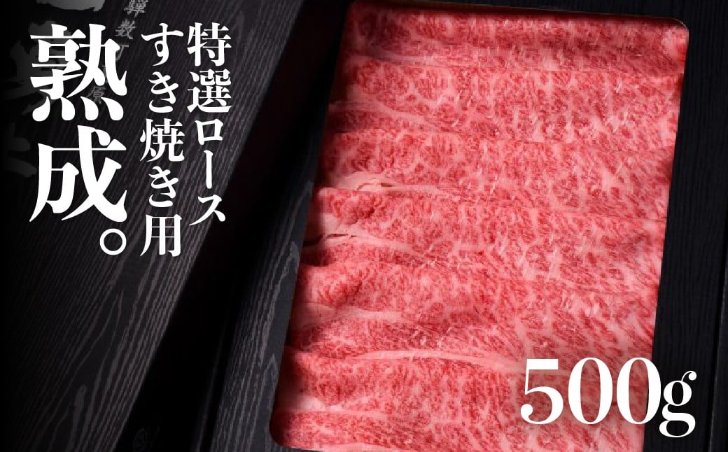 
            【年内発送】『山勇牛』特選ロース すき焼き・しゃぶしゃぶ500g すき焼き用 500g A4・A5ランク飛騨牛 和牛 肉 熨斗掛け 飛騨市 年内発送牛肉 年内発送すき焼き肉 飛騨牛すき焼き 64000円
          
