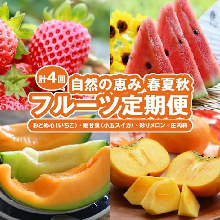 
            ≪4回定期便≫ 自然の恵み 春・夏・秋フルーツ定期便(3)2026 4月下旬～5月下旬 おとめ心(いちご) 6月下旬～7月上旬 姫甘泉(小玉スイカ) 7月中旬～7月下旬 彩りメロン(青肉・赤肉) 10月中旬～11月下旬 庄内柿 計4回 山形県酒田産 着日指定不可 離島発送不可 JAそでうら　SE0506
          