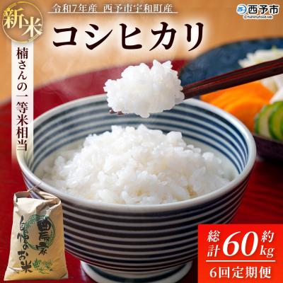 ふるさと納税 西予市 新米 <令和8年産 コシヒカリ 約10kg 6回定期便 精米 楠さんの一等米相当 みかん