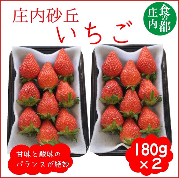 食の都庄内　庄内砂丘のいちご2パック（2L～L）やや小粒も含む※1月中旬頃～順次配送(庄内旬青果)