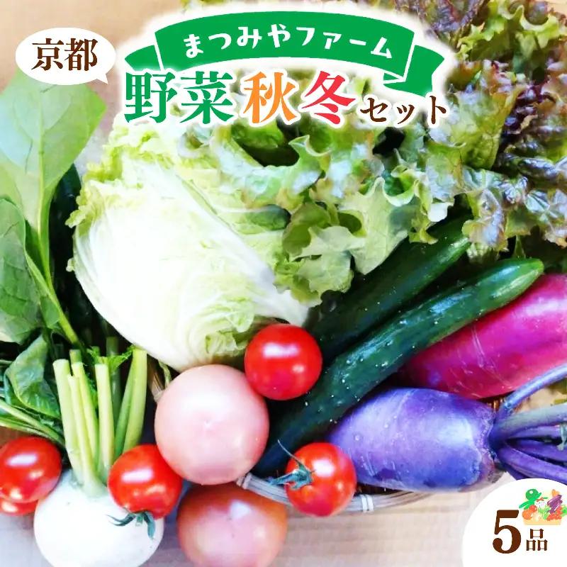 【野菜】京都 野菜秋冬セット 5品