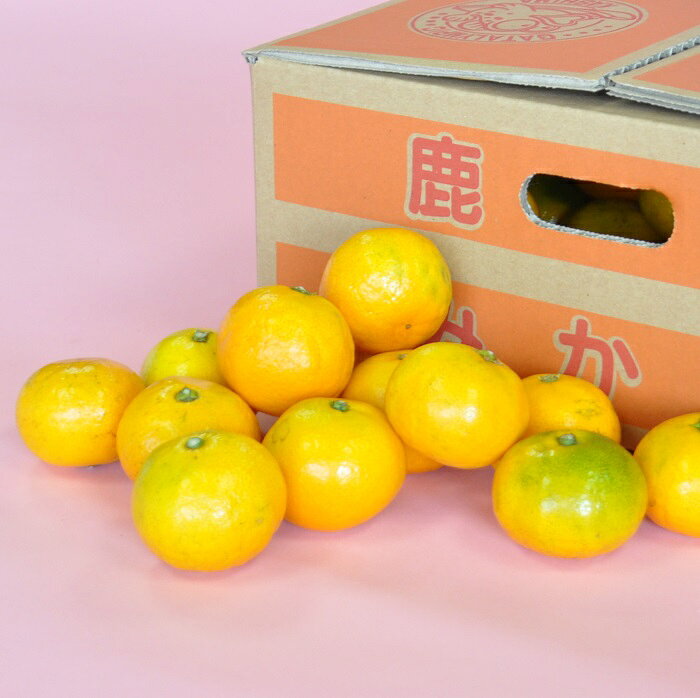 【訳あり】【先行予約】高評価4.0以上！やーらしか鹿島産みかん 12kg｜【数量限定】小粒サイズ ご家庭用｜一口で食べられる濃縮旨み｜お子様にも｜生産者直送 国産 佐賀県産 ミカン 蜜柑 果物 フルーツ 送料無料 人気【B-273】