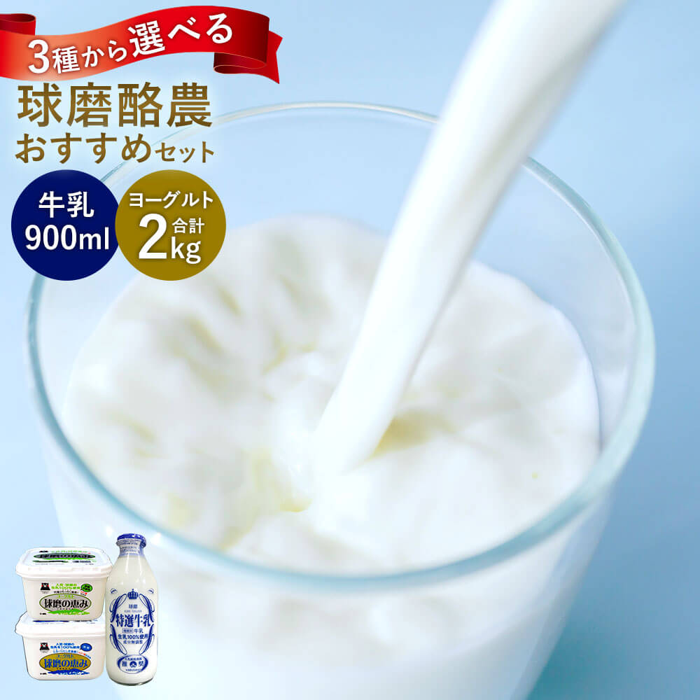 【ふるさと納税】＜選べる セット＞球磨酪農おすすめセット 瓶牛乳　900ml ヨーグルト 1kg×2個 加糖 砂糖不使用 セット 詰め合わせ ミルク 牛乳 乳製品 熊本県 人吉 球磨 九州 冷蔵 送料無料