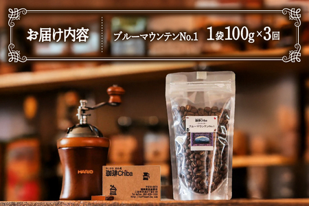 【3回定期便】 コーヒー豆 ブルーマウンテン 100g [珈琲Chiba 福岡県 筑紫野市 21761428]