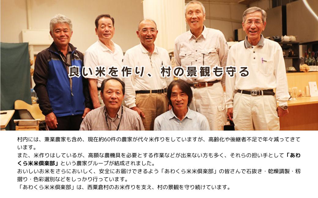 《令和7年産2週間以内に発送》白米 10kg 令和7年産 コシヒカリ 岡山 あわくら源流米 K-ag-AEFA