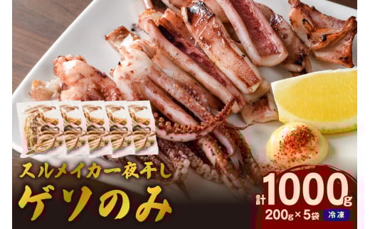 【訳あり】スルメイカ一夜干し”ゲソのみ” 計1,000g（小分け200gｘ5袋） 産地直送 干物 国産 人気 大容量 小分け 訳あり 焼き 揚げ物 塩味付【005_0140】