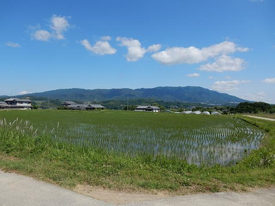 大和五條の「ゆめ野山米」 あきだわら 精米 5kg （5kg×1袋） | コメ 米 こめ 精米  あきだわら もちもち 奈良県  五條市
