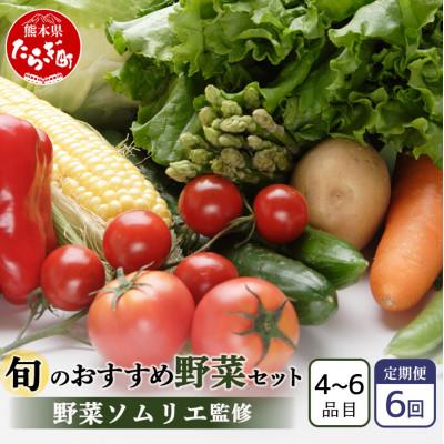 ふるさと納税 多良木町 【毎月定期便】野菜ソムリエ監修 旬のおすすめ野菜セット 4〜6品(1〜2名様向け)全6回