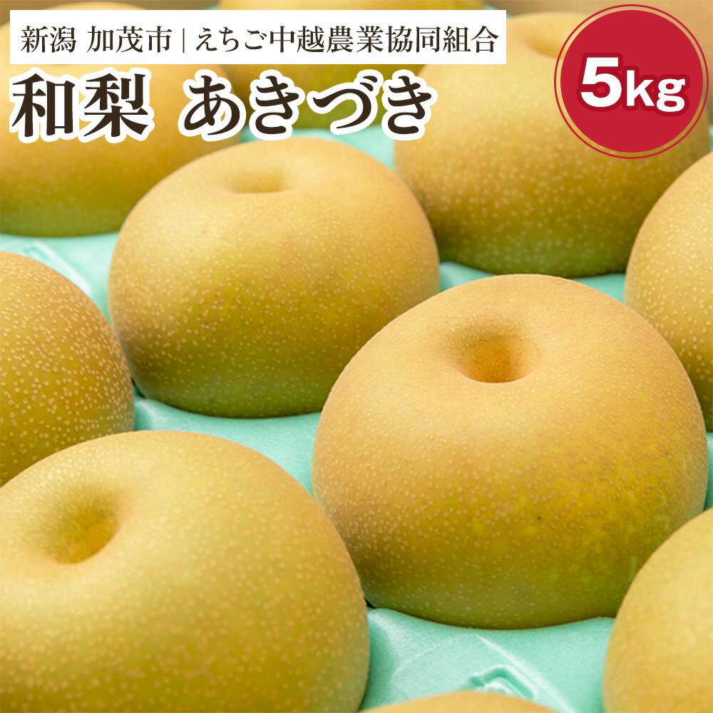 【ふるさと納税】【2025年先行予約】「天果糖逸（てんかとういつ）」 新潟県産和梨 あきづき 約5kg（8〜10玉）《9月中旬〜配送予定》 果物 フルーツ 冬の味覚 産地直送 加茂市 えちご中越農業協同組合
