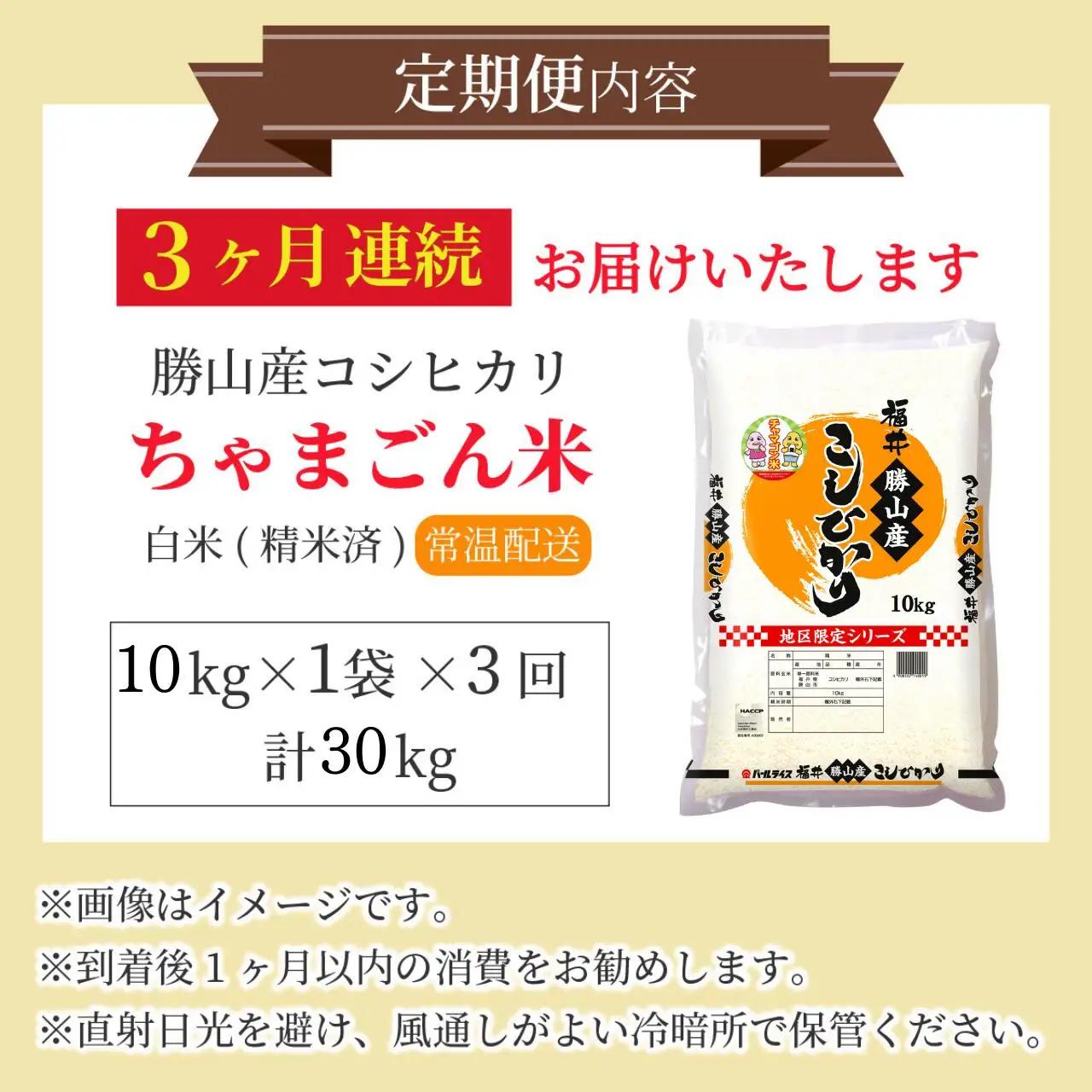 米 コシヒカリ 勝山産 ちゃまごん米 10kg×3回  定期便 [I-010022]