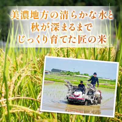 【先行受付】令和8年産　岐阜県産ハツシモ(無洗米)10kg【1757849】