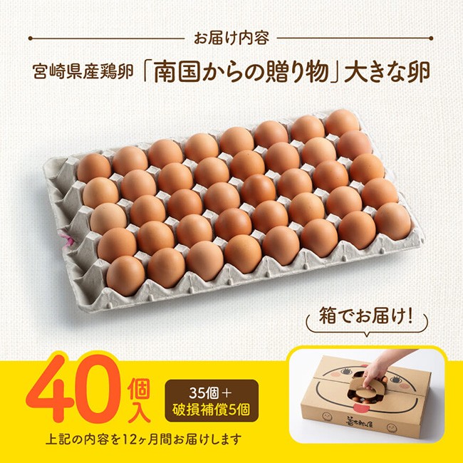 【12ヶ月定期便】 宮崎県産鶏卵　「南国からの贈り物」大きな卵40個入り（35個+破損補償5個）【卵 鶏卵 新鮮 生卵 タマゴ おうち時間】[C01401t12]