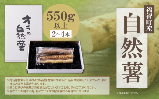 【福智町産】オラの自然薯(カットもの 550g以上）