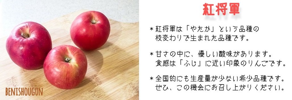 りんご 紅将軍 家庭用 3kg 永野農園 沖縄県への配送不可 2025年9月下旬頃から2025年10月上旬頃まで順次発送予定 令和7年度収穫分 信州 果物 フルーツ リンゴ 林檎 長野 予約 農家直送