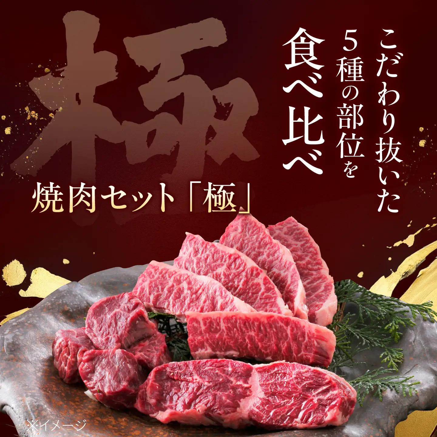 焼肉セット 味付き 極 1.2kg 焼肉セット BLCD002