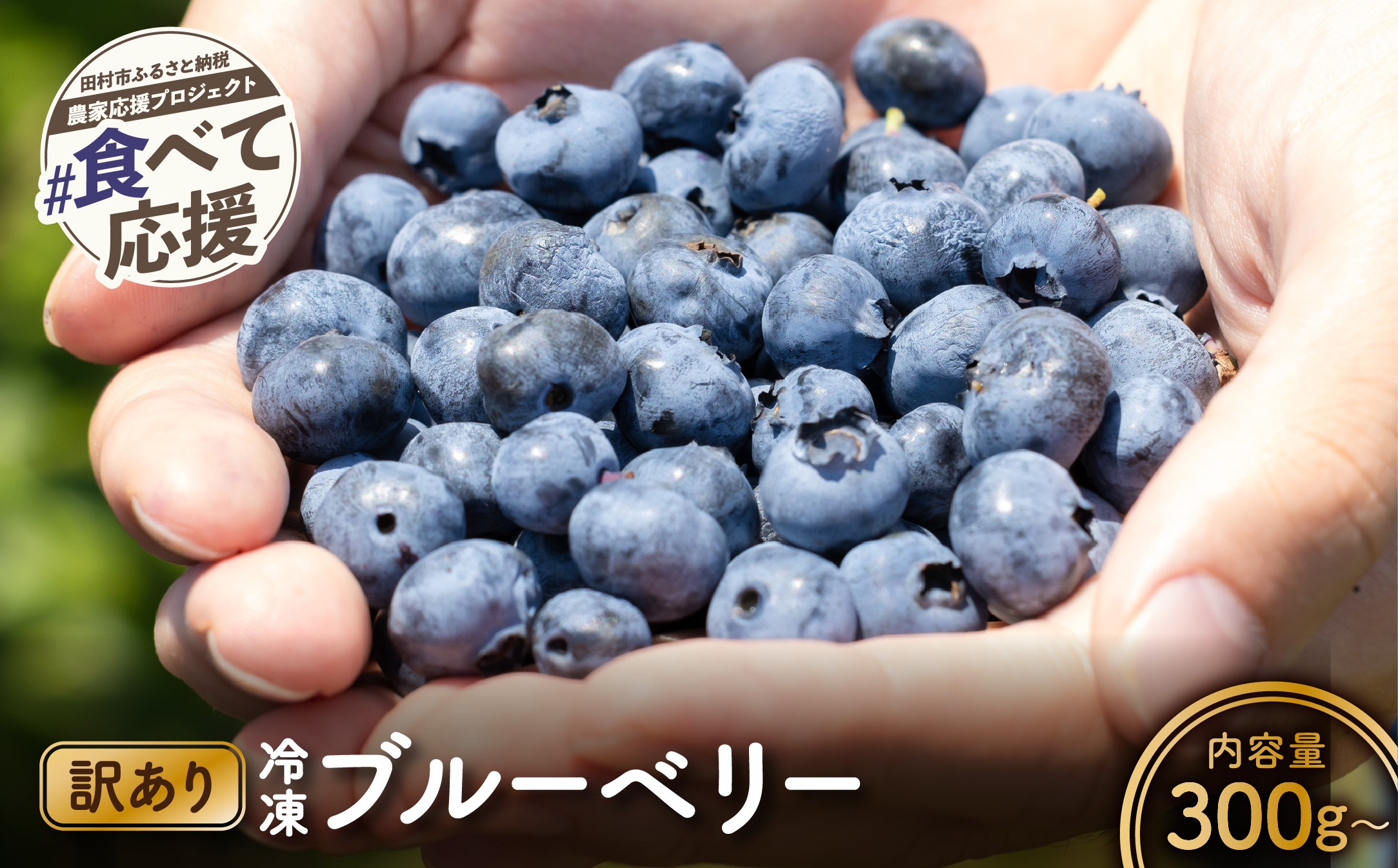 
                  【選べる容量】 訳あり 冷凍ブルーベリー 300g 500g 小分け フルーツ 果物 くだもの 完熟 手摘み 新鮮 ベリー お菓子作り ジャム ギフト 贈答 プレゼント 人気 ランキング 農家直送 10000 1万円 福島県 田村市 いずみの森ブルーベリー園
                
