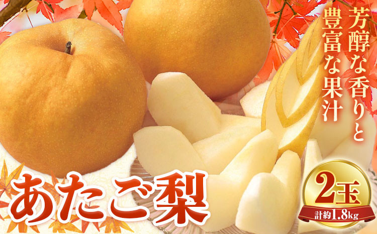 
                  【2027年先行予約】あたご梨 2玉 計約1.8kg 環山堂株式会社《2027年11月下旬-12月中旬頃より発送予定》岡山県 浅口市 梨 なし 和梨 果物 フルーツ 送料無料
                