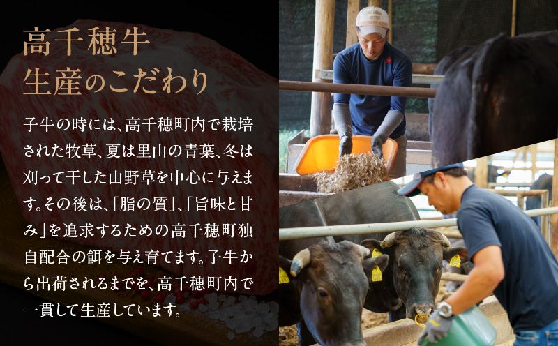 【JALふるさと納税限定】【5月限定受付】【ハンバーグ付】高千穂牛こま切れ 800g_Tk002-021-EVT
