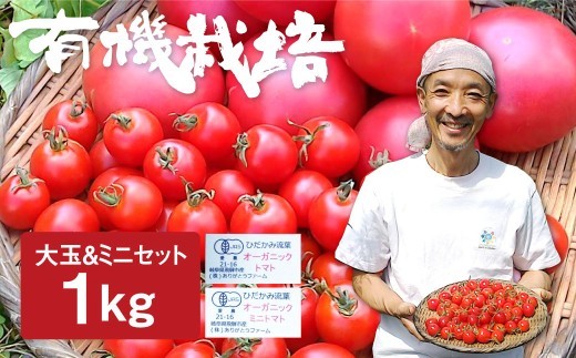 ＜8月から寄附額改定＞【令和8年産 26年先行予約】トマトとミニトマトのセット 有機JAS認定 1kg とまと 大玉 甘い 特産 国産 野菜 ミニトマト 旬 有機野菜 ありがとうファーム 送料無料 [A0091x_26S] 《hida0307》