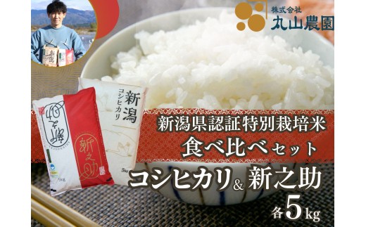 【令和8年産新米予約】【新潟県認証米】 10kg (各5kg) 特別栽培米 「従来コシヒカリ」＆「新之助」食べ比べセット 阿賀野市産 丸山農園 米 こめ コメ 白米 精米 新米 新米予約 令和8年産 10月中旬より順次発送予定 3F05026