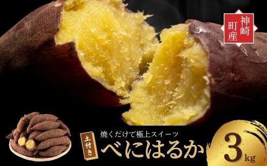 ＜先行予約＞ 神崎町産 べにはるか さつまいも 3kg【土付き・M～Sサイズ混合】(5～12月受付分は翌年1月中旬以降発送)｜さつま芋 焼き芋 焼きいも イモ 芋 紅はるか 訳アリ しっとり 濃厚 蜜