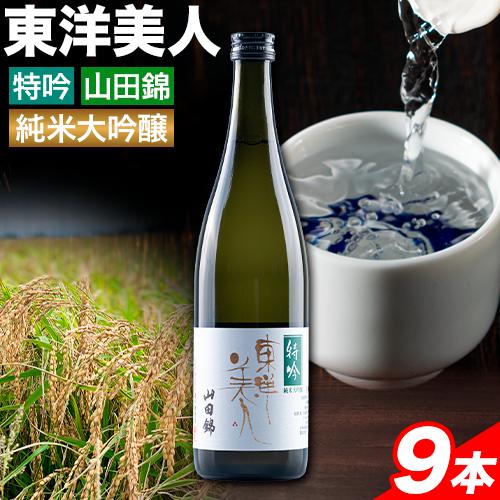 日本酒 新酒 東洋美人 特吟 山田錦 純米大吟醸 9本 計6480ml 1本あたり 720ml 福岡吟醸倶楽部株式会社《30日以内に出荷予定(土日祝除く)》福岡県 鞍手郡 鞍手町 酒 冷酒 送料無料