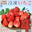 【ふるさと納税】 冷凍いちご 4kg （ 1kg × 4 ） とちおとめ やよいひめ 冷凍イチゴ 神原いちご園 銚子産 苺 いちご イチゴ 真空パック 冷凍 冷凍フルーツ カットフルーツ フルーツ ジャム スムージー 便利 簡単 千葉県 銚子市