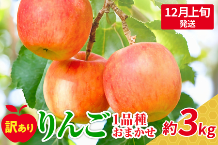 【2024年12月上旬発送】【訳あり】おまかせりんご約3kg（7～12個程度）おまかせ品種 |青森県五所川原市訳ありりんご 3kg家庭用3kg