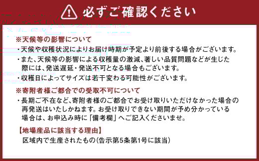熊本県産晩白柚 1玉入り