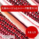 【ふるさと納税】上田農園の赤とうもろこし（大和ルージュ）とユニーク野菜