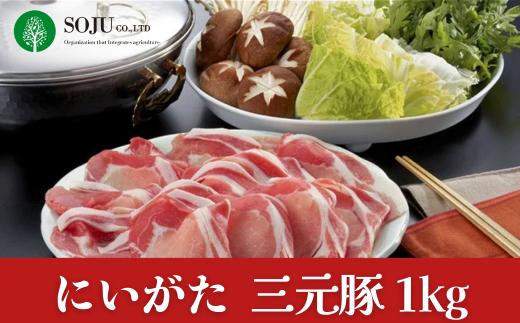 にいがた三元豚1kg しゃぶしゃぶ用 とんかつ用 豚肉 新潟グルメ  [三条果樹専門家集団]【020P085】
