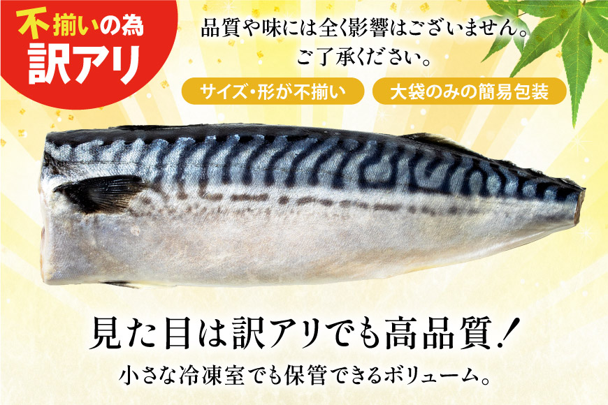 訳あり 塩サバ フィレ 2kg [足利本店 宮城県 気仙沼市 20565167] 魚介類 魚 海鮮 大容量 サバ さば 鯖 塩分控えめ サバフィレ サバフィーレ 鯖フィレ 塩サバフィレ 切り身 冷凍 