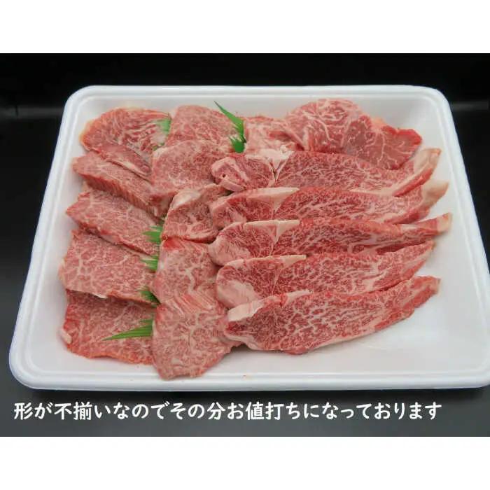 【訳あり】佐賀牛ヒレ焼肉用 600g /牛肉 BBQ / 佐賀県 / ふるさとの恵み（MM） [41AQAA019]