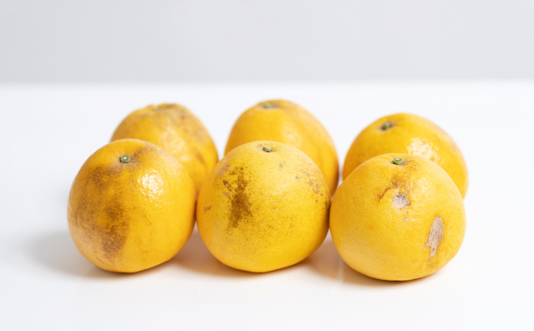 【訳あり】 河内晩柑 10kg 【えひめの町（超）推し！（愛南町）】（569-1）