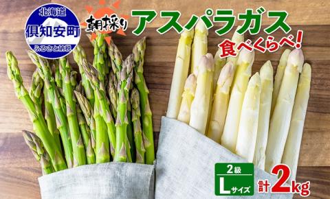 先行予約 2024年 北海道 アスパラガス グリーン AL ホワイト 2級品大・中 各1kg 食べ比べ セット 計2kg 春 限定 旬 朝採り 新鮮 野菜 アスパラ ギフト gift 産地直送