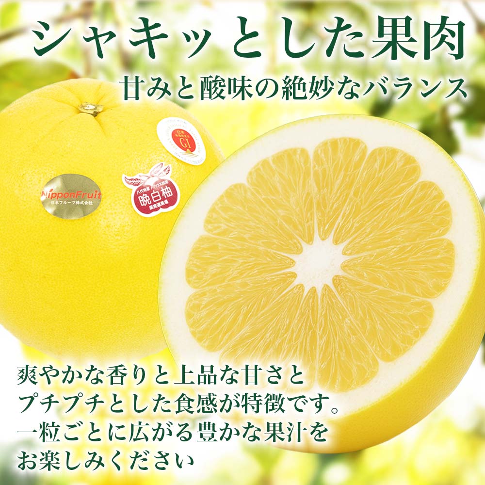 【先行予約】 熊本県八代市産 晩白柚 Lサイズ 6玉入り 約9kg 果物 くだもの フルーツ 柑橘類 青果物 特産品 お取り寄せ 【2025年12月中旬より順次発送】_イメージ4