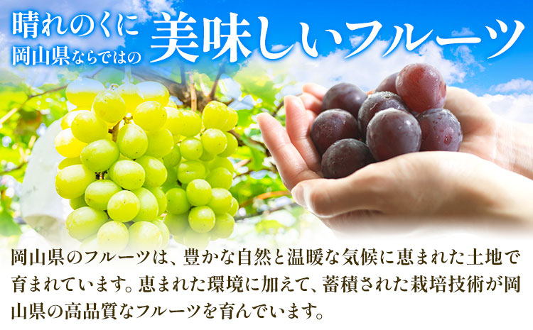 シャインマスカット【晴王】 岡山県産 4-9房(計4kg以上)【先行予約】 株式会社Myself《2025年9月上旬-11月上旬頃出荷》マスカット 送料無料 岡山県 浅口市 ぶどう フルーツ 果物 贈