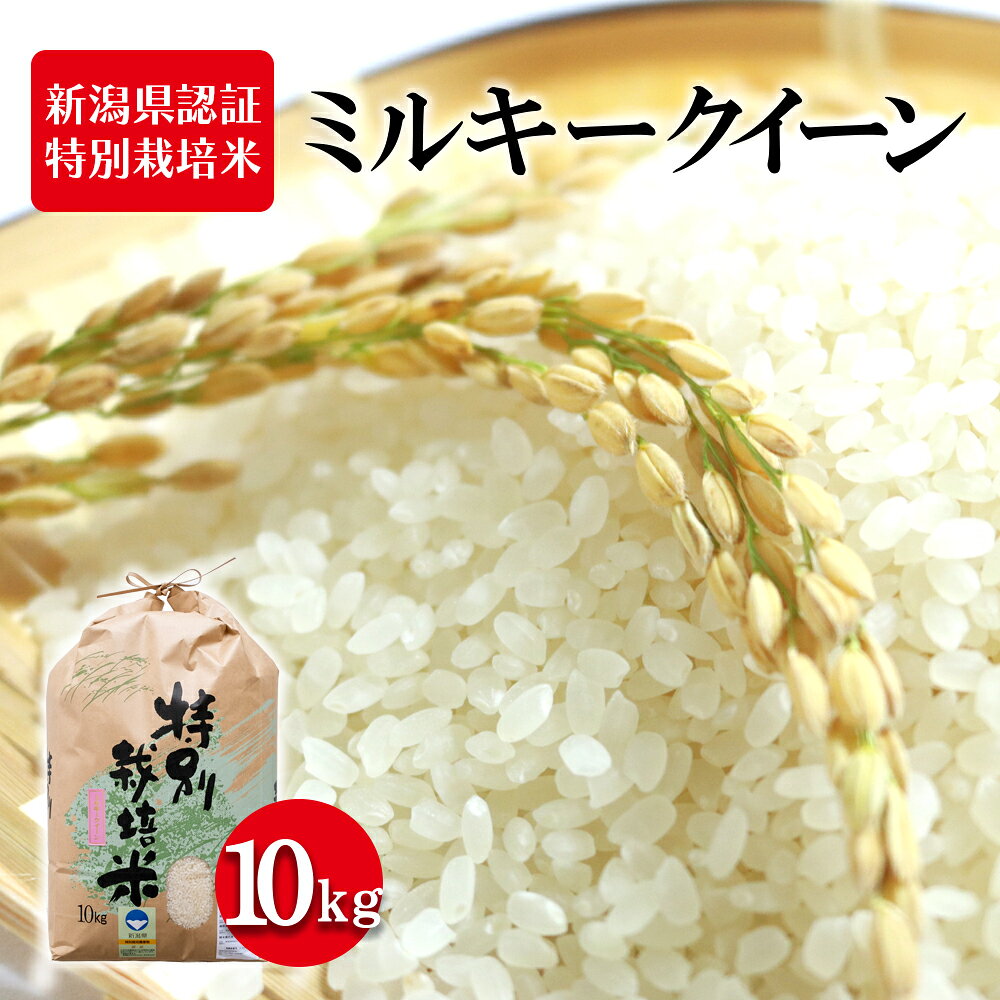 【ふるさと納税】新潟県認証特別栽培米 ミルキークイーン 10kg お米 白米 ライス 精米 ご飯 新潟県産 新潟市産 おにぎり お弁当 和食 ブランド米 低アミロース 粘り モチモチ 硬くなりにくい 　お届け：寄附入金確認後、順次発送