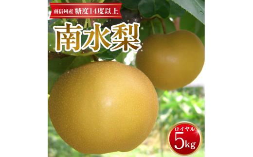 
                  【南信州産】南水梨5kg 12～14玉入り 糖度14度以上 長野県 信州 高森町 産地直送 果物 くだもの なし ナシ 和梨 旬 旬の果物 旬の梨  なんすい 下伊那園芸農業協同組合
                