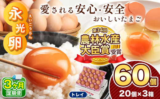 【 定期便 3回 】メディア紹介多数！ 永光卵 60個 卵 たまご 選べる 個数 回数 トレイ タイプ | 送料無料 えいこうらん 光永ファーム みつなが おいしい卵 プリン オムライス ゆうパック 君津市 きみつ 千葉県