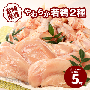 ★スピード発送!!７日～10日営業日以内に発送★宮崎県産やわらか若鶏2種5kg  K16_0016_3