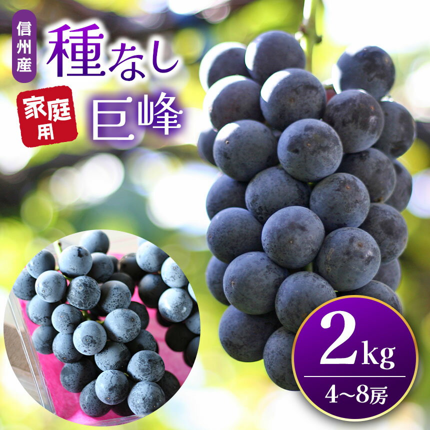 【ふるさと納税】信州産　種無し巨峰　家庭用 2kg箱（4房～8房）｜ふるさと納税 信州 松本 巨峰 ぶどう 種なし 定番 甘い 果物 フルーツ 甘い おすすめ ギフト