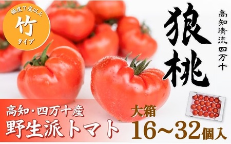 【先行予約／2027年2月下旬から発送】四万十育ち「狼桃」 糖度7度以上 竹タイプ 大箱（16～32個入）Fdf-A11 フルーツ トマト とまと 野菜 数量限定 期間限定