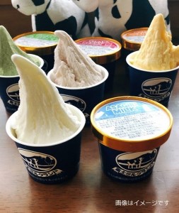 0014-01-10　富士ミルクランド　スイーツセット（ジェラート、ロールケーキ）