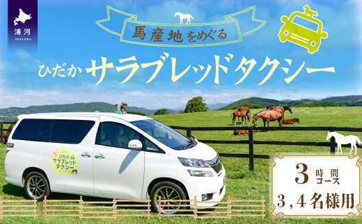 
馬産地をめぐる「ひだかサラブレッドタクシー」3時間(3,4名様)コース[41-1103]
