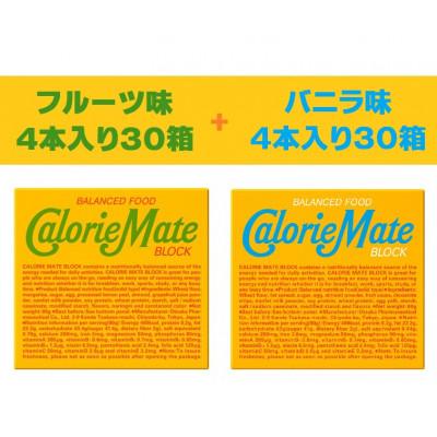 ふるさと納税 那賀町 「大塚製薬」カロリーメイトブロック　4本入り　フルーツ味30箱・バニラ味30箱　計60箱