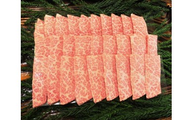 飛騨市推奨特産品 飛騨牛 5等級 カルビ 焼肉用 500g  牛肉 和牛 古里精肉店謹製 E0028