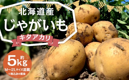 北海道産 じゃがいも キタアカリ M～2Lサイズ混載 約5kg 1箱  【2026年9月下旬-2027年1月上旬迄発送予定】